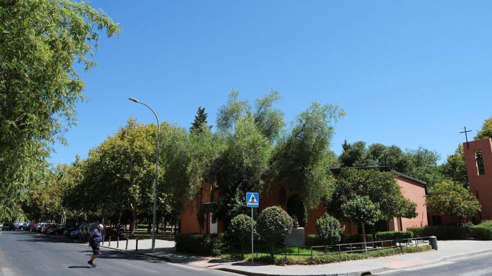Apartment Pintor Espinosa 3 Loft *